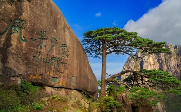 万亿规模的家政市场为何难出巨头?这五个行业死结到底谁能解开
